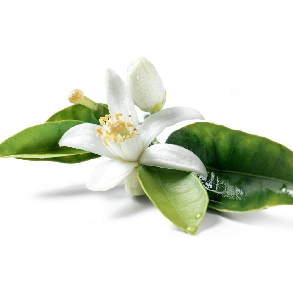 (正品)現貨 BIO歐盟驗證純露 法國原裝進口Propos＇Nature橙花純露 替代化妝水-細節圖2