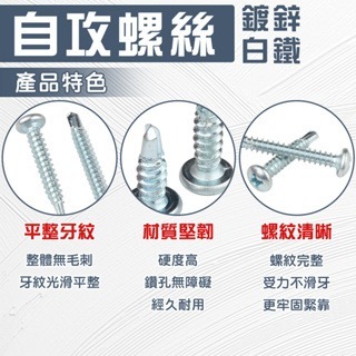 自攻螺絲 螺絲 白鐵螺絲 鈦螺絲 水泥螺絲 木螺絲 膨脹螺絲 自攻 攻牙螺絲-細節圖3