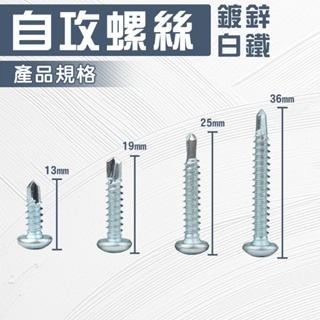 自攻螺絲 螺絲 白鐵螺絲 鈦螺絲 水泥螺絲 木螺絲 膨脹螺絲 自攻 攻牙螺絲-細節圖4