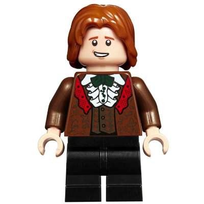 【Emily Mifigures】LEGO 樂高 人偶 全新未組 哈利波特 榮恩 hp185 75948