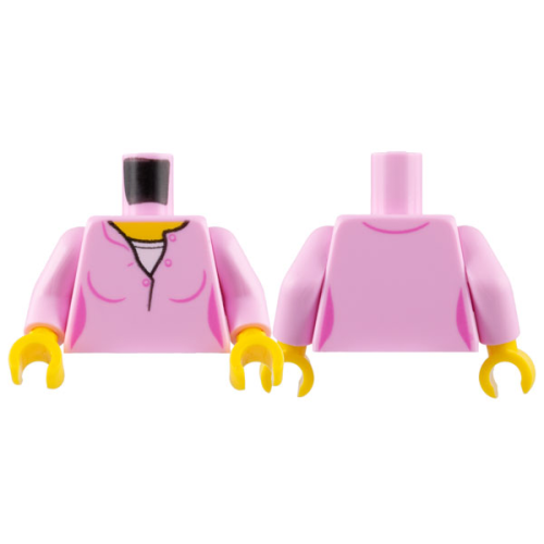 【Emily Mifigures】LEGO 樂高 人偶 身體 全新 973pb3165c01