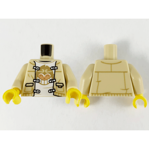 【Emily Mifigures】LEGO 樂高 人偶 身體 全新 973pb4170c01 80107