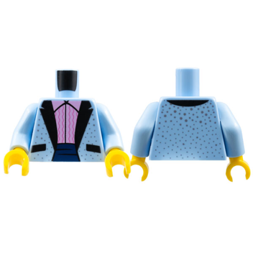 【Emily Mifigures】LEGO 樂高 人偶 身體 全新 973pb2846c02 10260