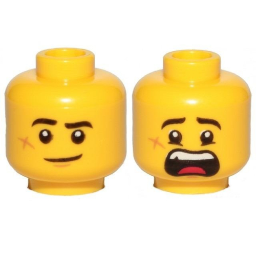 【Emily Mifigures】LEGO 樂高 人偶 頭 全新 雙面臉 3626cpb2454 70425