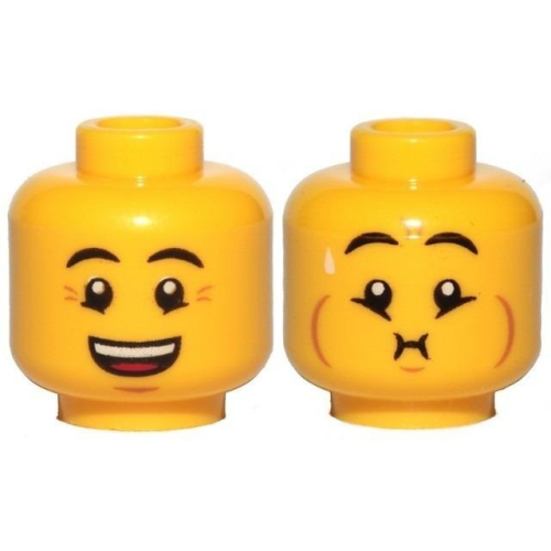【Emily Mifigures】LEGO 樂高 人偶 頭 全新 雙面臉 3626cpb2492