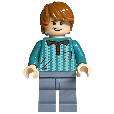 【Emily Mifigures】LEGO 樂高 人偶 全新 哈利波特 榮恩 hp231 75969