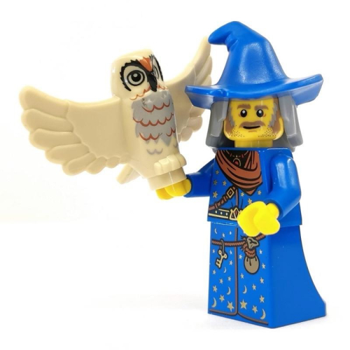 【Emily Mifigures】LEGO 樂高 人偶 全新未組 魔法師 BAM 自組人偶 附貓頭鷹