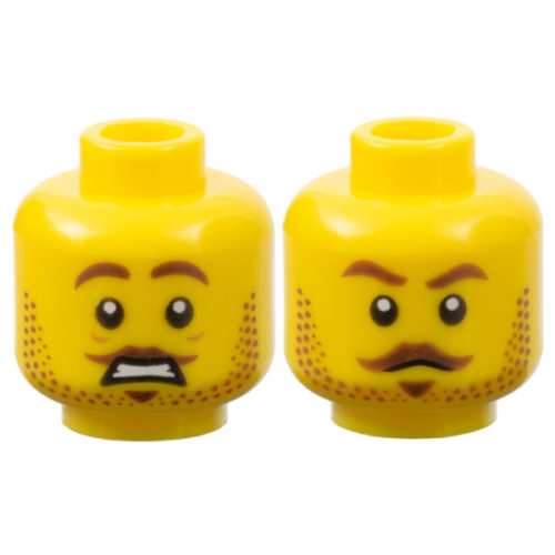 【Emily Mifigures】LEGO 樂高 人偶 頭 全新 雙面臉 3626cpb3214