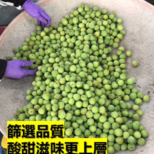 南投話梅 酸甜梅 無農藥/糖精/防腐劑 少鹽少糖  酵素梅 甘菊梅-細節圖4