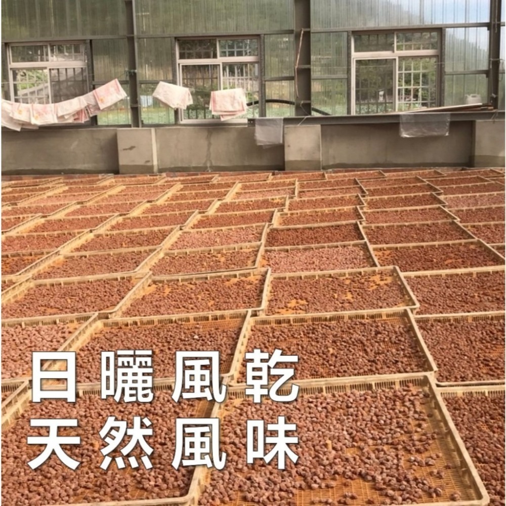 南投話梅 有/無籽 少糖不鹹 原味 無化學 大顆青梅 酵素梅 酸梅 蜜餞 現貨 免運-細節圖5