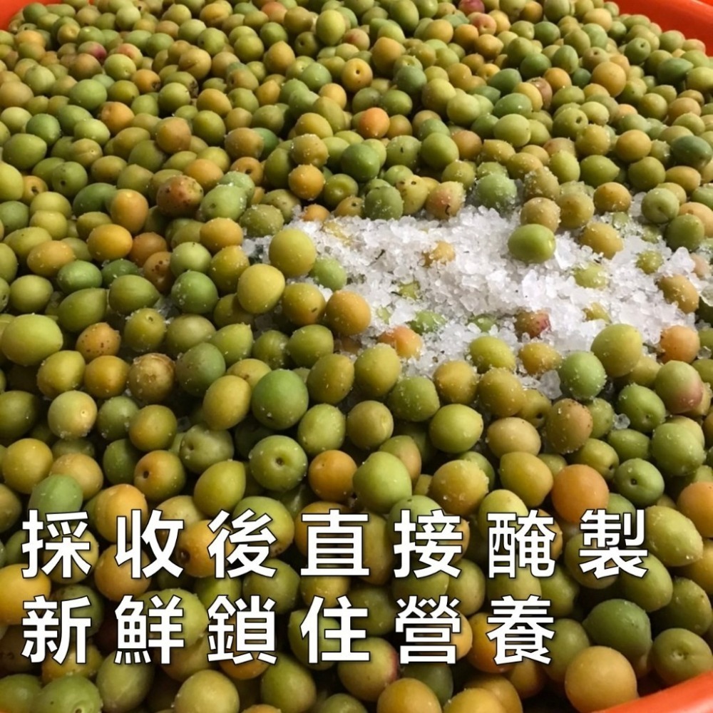 南投話梅 有/無籽 少糖不鹹 原味 無化學 大顆青梅 酵素梅 酸梅 蜜餞 現貨 免運-細節圖6