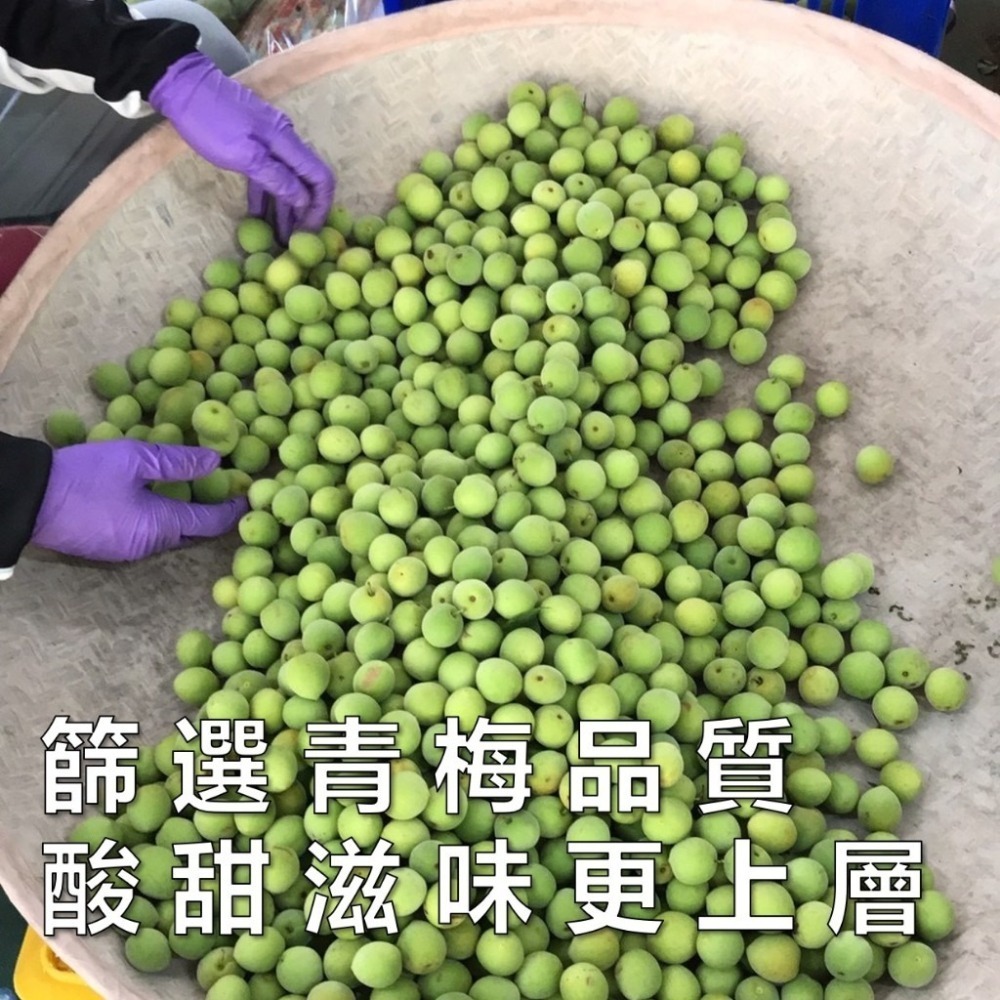 南投話梅 有/無籽 少糖不鹹 原味 無化學 大顆青梅 酵素梅 酸梅 蜜餞 現貨 免運-細節圖7