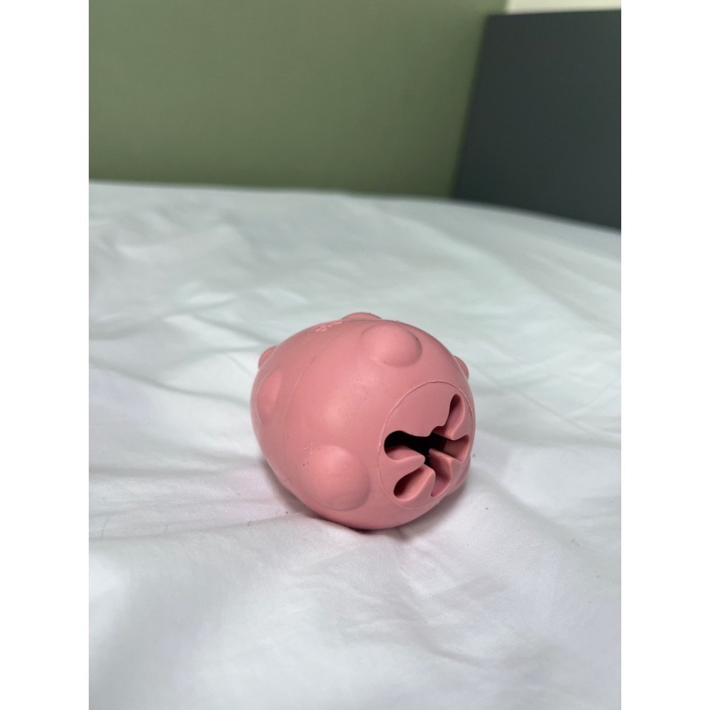 【 現貨‼️｜羊桃親選🍑-韓國寵物展玩具🇰🇷 】- 漏食恐龍蛋🦕🥚-細節圖4