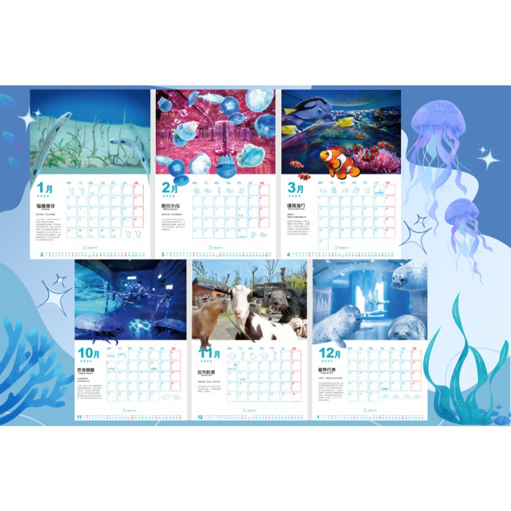 Xpark水族館 2025原創月曆-細節圖3