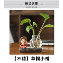 禪定小僧｜🌱水耕瓶,水培瓶,水耕花瓶,水養植物,室內擺設,居家盆栽,懶人花盆,水培玻璃花器,小花瓶,迷你花瓶-規格圖8