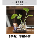 不看