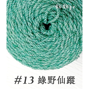13 綠野仙蹤
