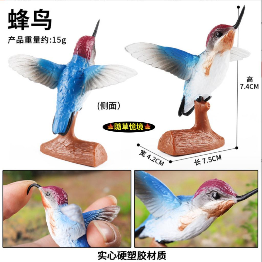 （高品質畫工）仿真 蜂鳥 小鳥 鳥類 鳥 飛禽 花園 動物模型 野生動物 兒童玩具 益智 公仔 SPG-細節圖3