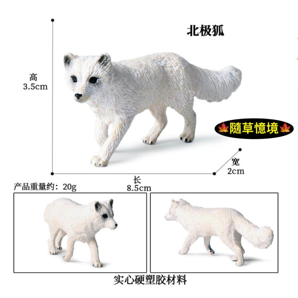 （4款高品質畫工）仿真 親子 北極狐 白狐 雪狐 狐狸 動物模型 野生動物 兒童玩具 益智 公仔 SPG-細節圖9