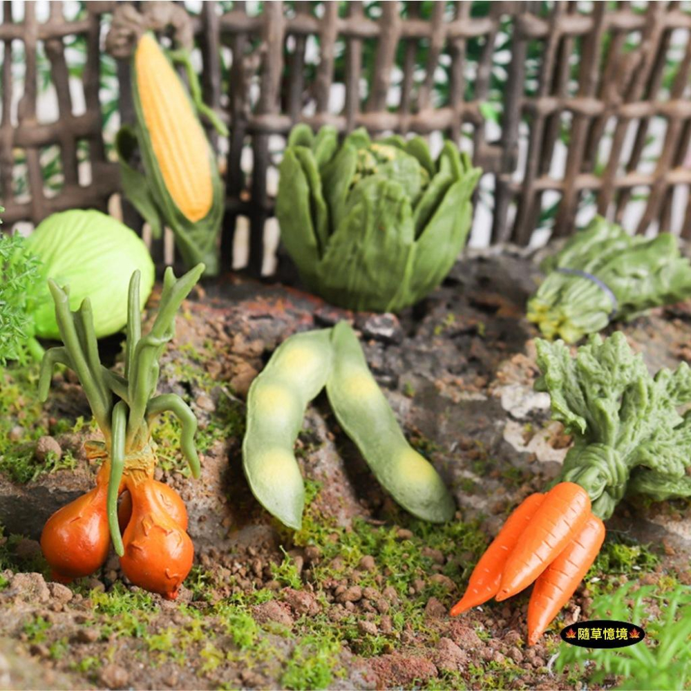 （全套7款）仿真 蔬菜 菠菜 碗豆 花椰菜 包心菜 玉米 洋蔥 紅蘿蔔 包心菜 菜花 菜園 益智 模型 SPG-細節圖7