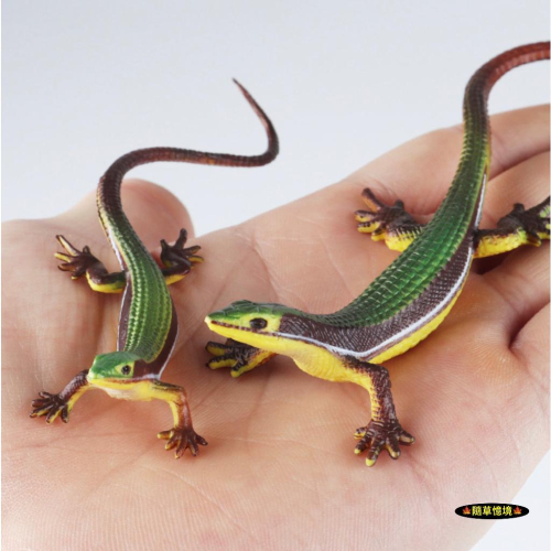 （2款高品質畫工）仿真 蜥蜴 親子 爬行動物 冷血動物 草蜥 守宮科 教學模型 動物模型 野生動物 兒童玩具