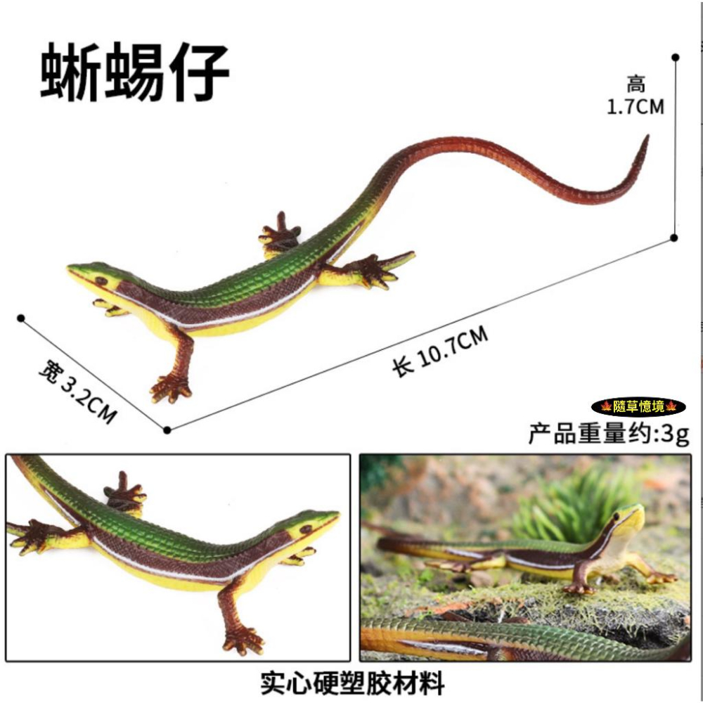 （2款高品質畫工）仿真 蜥蜴 親子 爬行動物 冷血動物 草蜥 守宮科 教學模型 動物模型 野生動物 兒童玩具-細節圖4