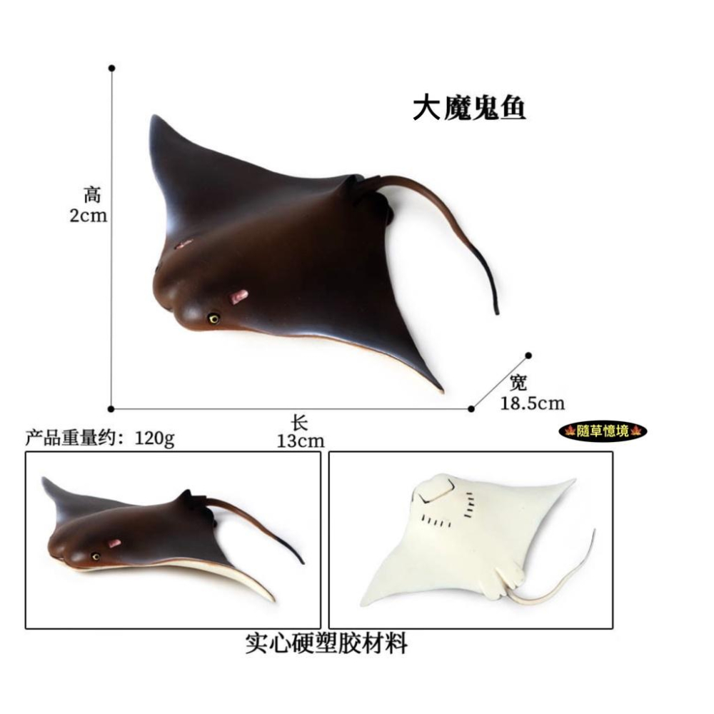 （8款高品質畫工）仿真 魟魚 大魔鬼魚 魟 瑤魚 鱝魚 蝙蝠魚 老闆魚 動物模型 兒童認知 玩具 益智 公仔 SPG-細節圖6