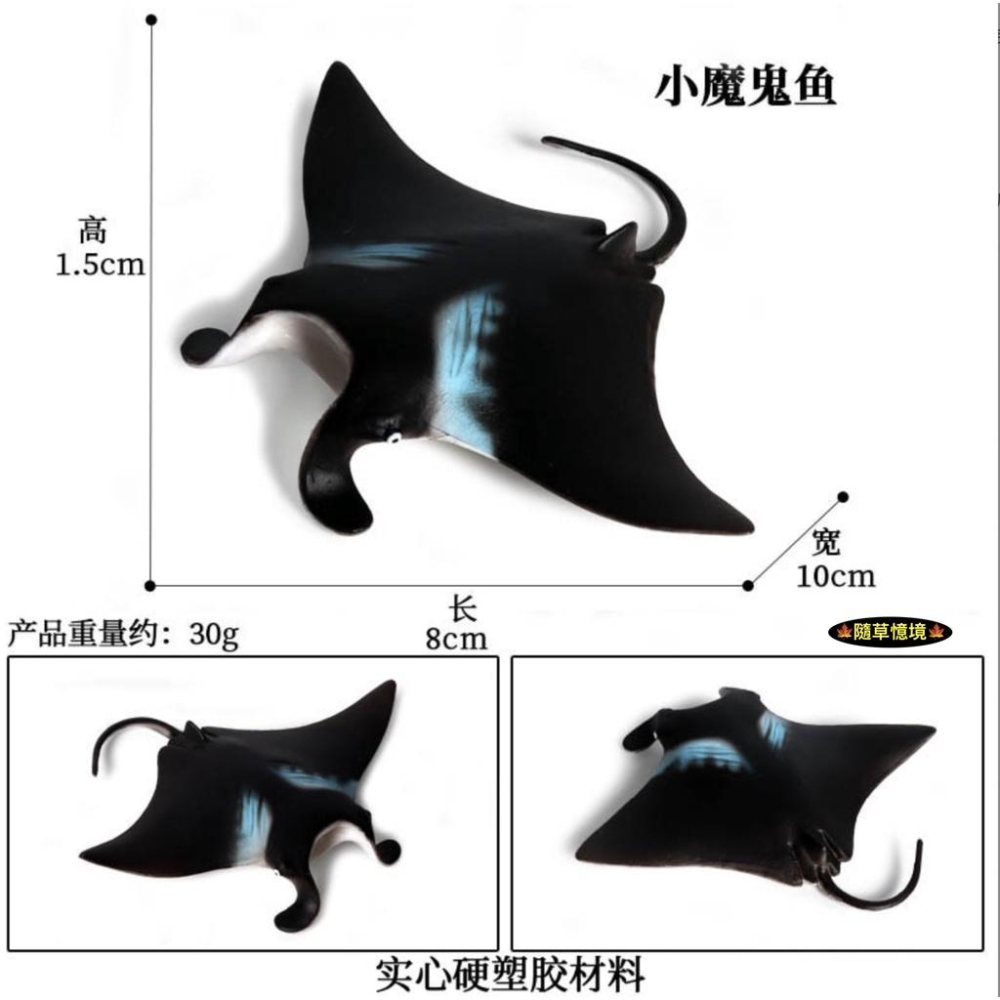（8款高品質畫工）仿真 魟魚 大魔鬼魚 魟 瑤魚 鱝魚 蝙蝠魚 老闆魚 動物模型 兒童認知 玩具 益智 公仔 SPG-細節圖9