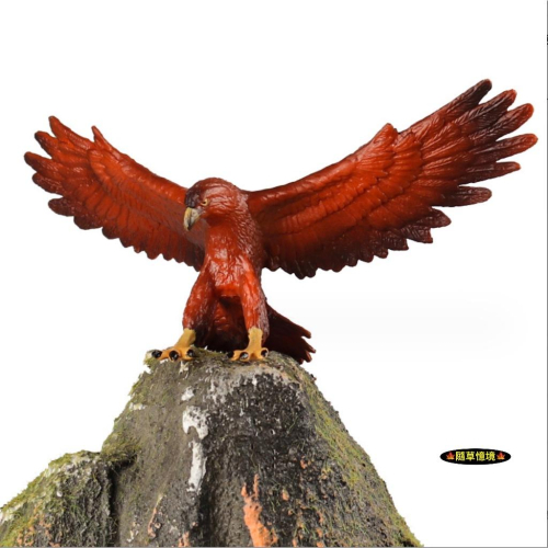 （高品質畫工）金雕 金鷲 老鷹 鷹 golden eagle 仿真 動物模型 野生動物 兒童 公仔 SPG