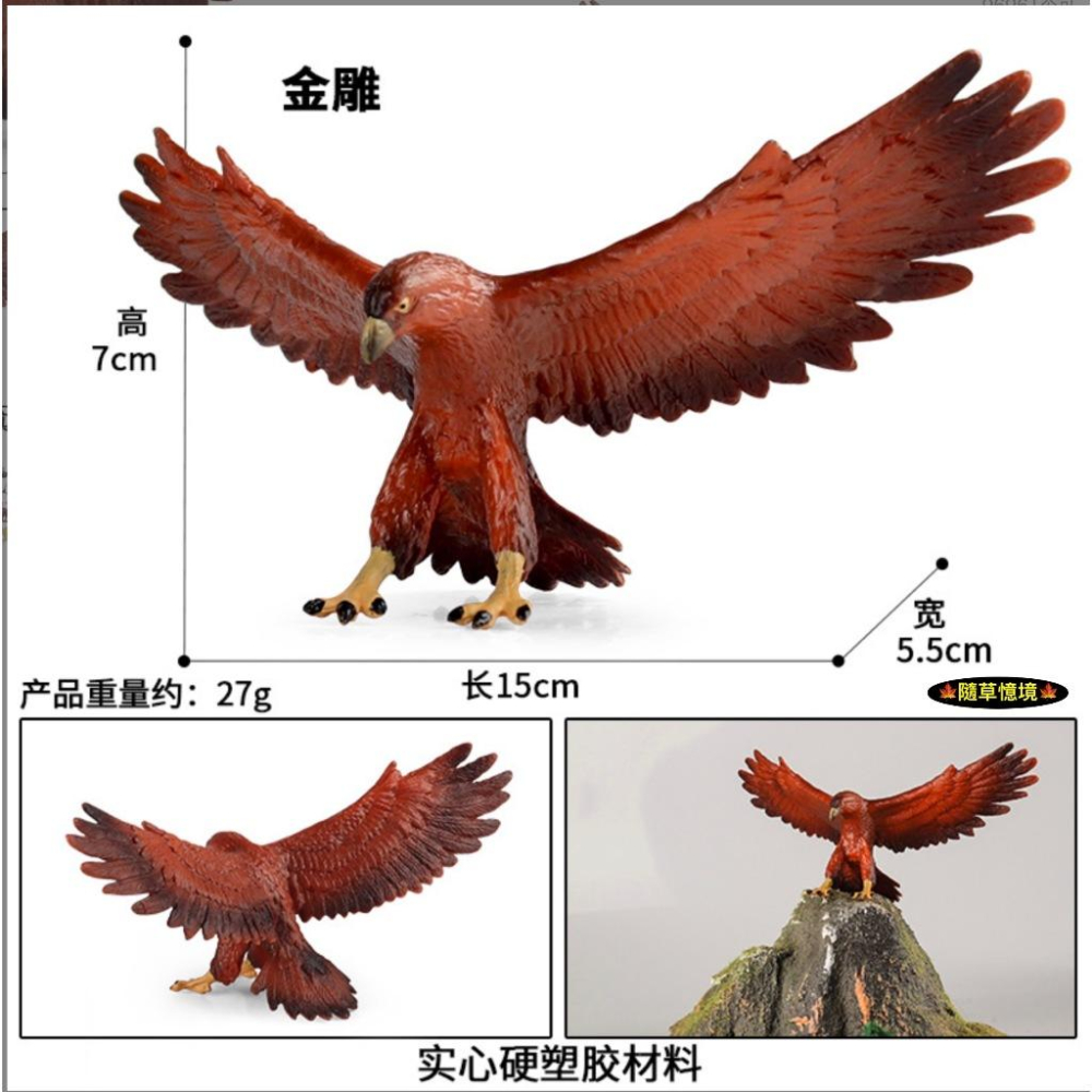 （高品質畫工）金雕 金鷲 老鷹 鷹 golden eagle 仿真 動物模型 野生動物 兒童 公仔 SPG-細節圖2