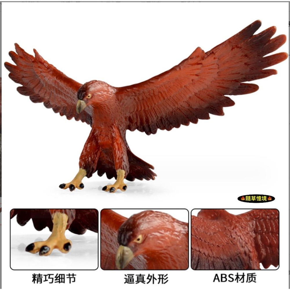 （高品質畫工）金雕 金鷲 老鷹 鷹 golden eagle 仿真 動物模型 野生動物 兒童 公仔 SPG-細節圖3