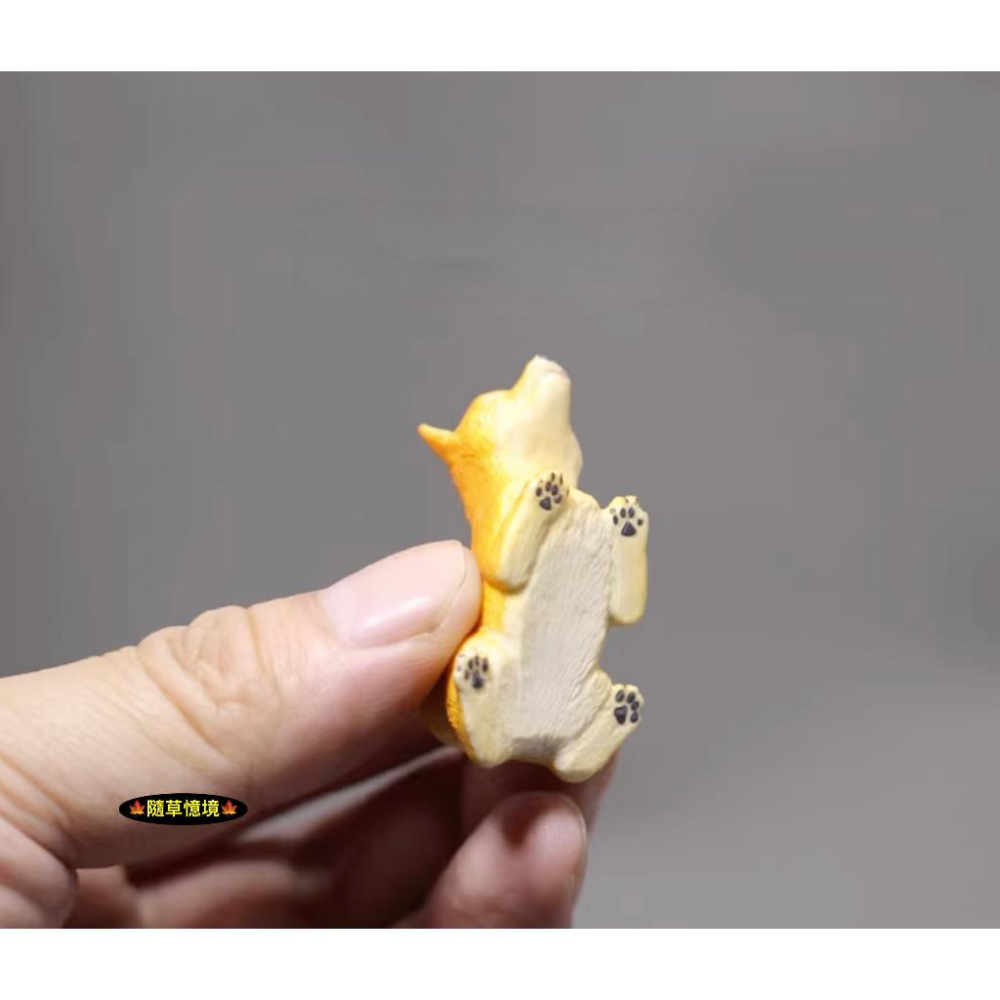 （1入/3入）迷你仿真 柴犬 寵物 小狗 狗狗 黃柴 塑料模型 娃娃屋 袖珍 食玩 微縮場景 微景觀 模型 公仔-細節圖3