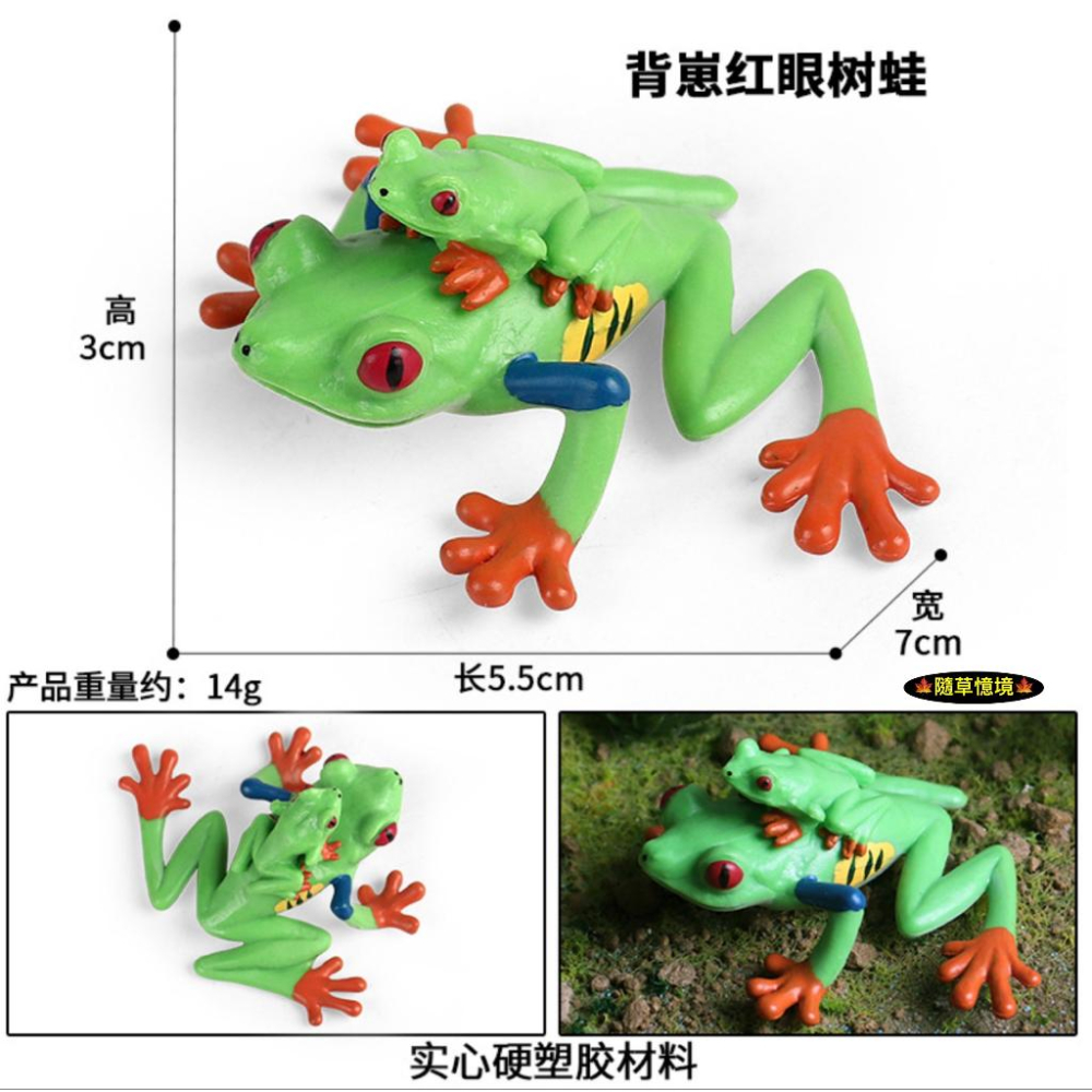 （高品質畫工）仿真 紅眼樹蛙 背仔 樹蛙 蛙 青蛙 動物模型 野生動物 兒童玩具 益智 公仔 SPG-細節圖2