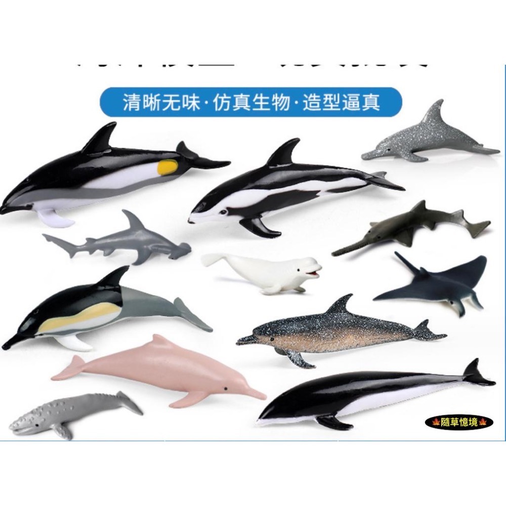 （全套12款）仿真 海豚 白鯨 鋸鰩 錘頭鯊 鯊魚 座頭鯨 動物模型 野生動物 兒童玩具 公仔 SPG-細節圖2