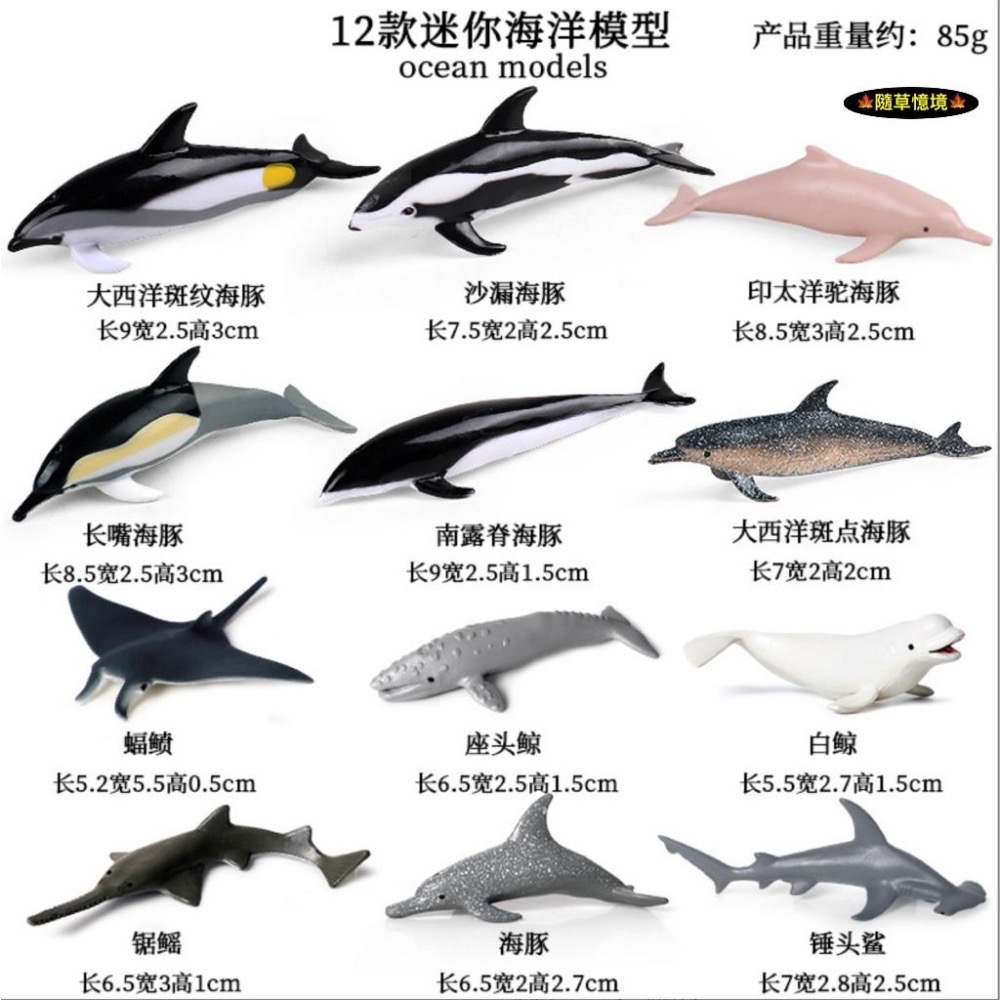 （全套12款）仿真 海豚 白鯨 鋸鰩 錘頭鯊 鯊魚 座頭鯨 動物模型 野生動物 兒童玩具 公仔 SPG-細節圖3