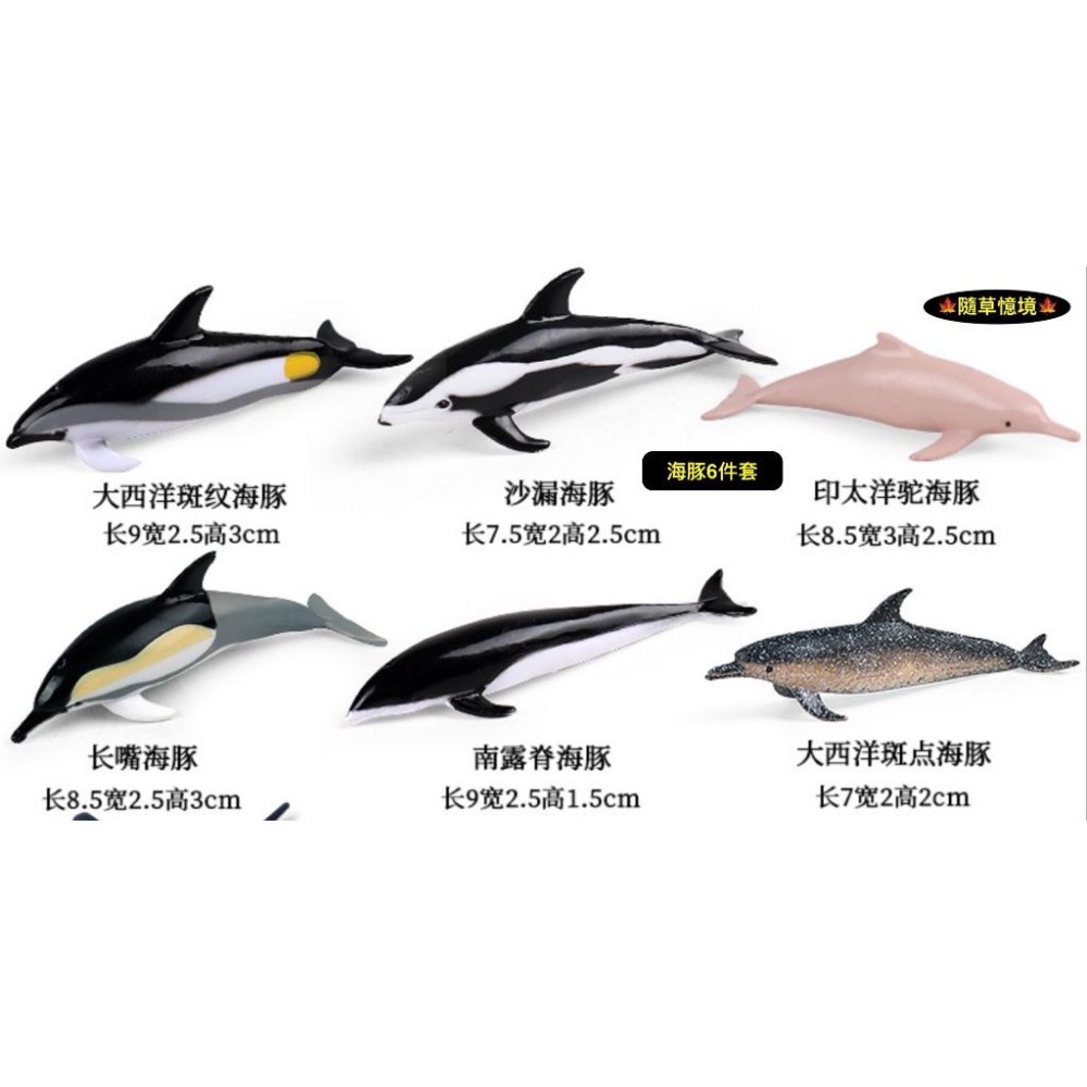 （全套12款）仿真 海豚 白鯨 鋸鰩 錘頭鯊 鯊魚 座頭鯨 動物模型 野生動物 兒童玩具 公仔 SPG-細節圖4