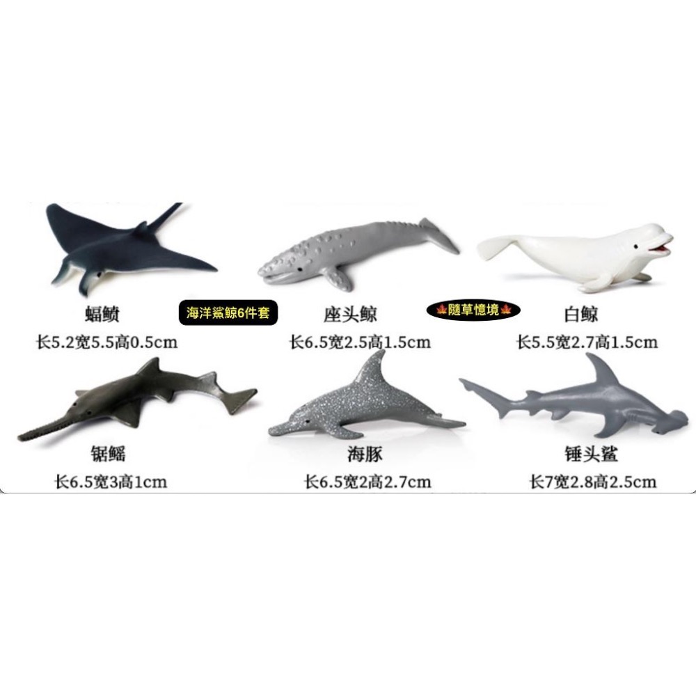 （全套12款）仿真 海豚 白鯨 鋸鰩 錘頭鯊 鯊魚 座頭鯨 動物模型 野生動物 兒童玩具 公仔 SPG-細節圖5