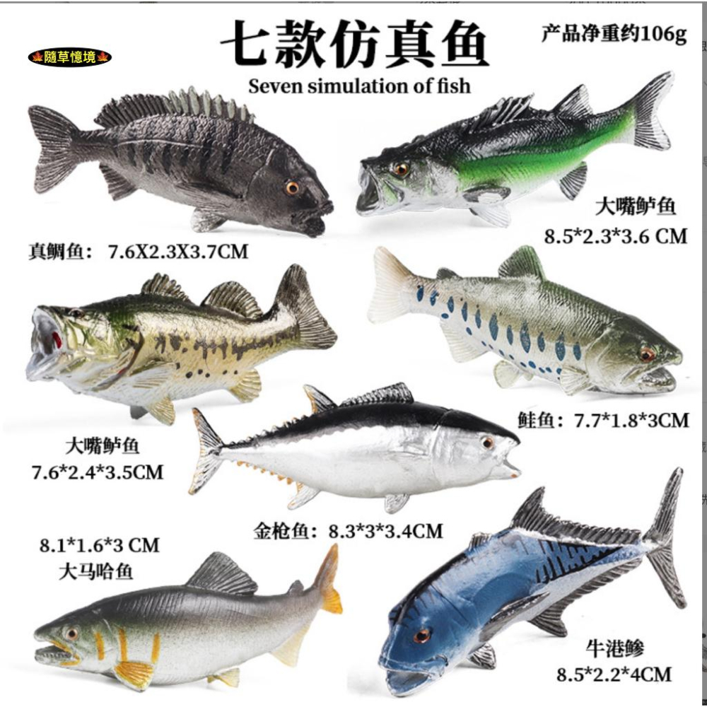 （高品質畫工）仿真 鮭魚 大馬哈魚 大嘴鱸魚 金槍魚 鯛魚 牛港鰺 魚類 魚缸造景 玩具 益智 模型 SPG-細節圖2