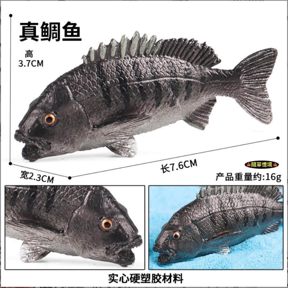 （高品質畫工）仿真 鮭魚 大馬哈魚 大嘴鱸魚 金槍魚 鯛魚 牛港鰺 魚類 魚缸造景 玩具 益智 模型 SPG-細節圖4