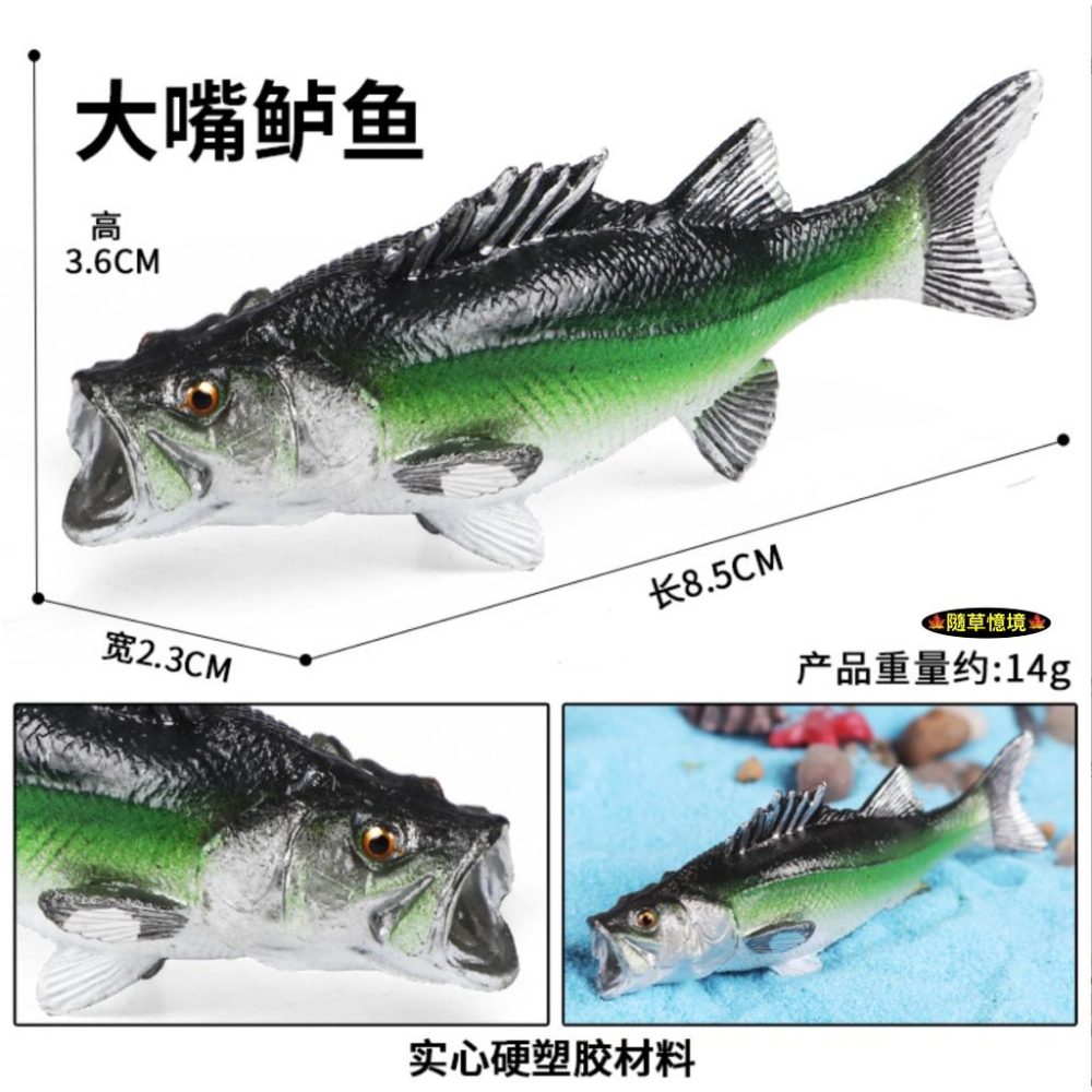 （高品質畫工）仿真 鮭魚 大馬哈魚 大嘴鱸魚 金槍魚 鯛魚 牛港鰺 魚類 魚缸造景 玩具 益智 模型 SPG-細節圖6