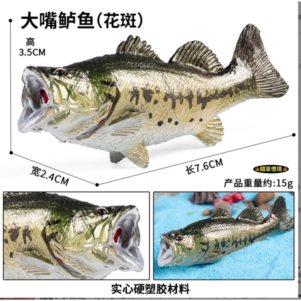 （高品質畫工）仿真 鮭魚 大馬哈魚 大嘴鱸魚 金槍魚 鯛魚 牛港鰺 魚類 魚缸造景 玩具 益智 模型 SPG-細節圖7