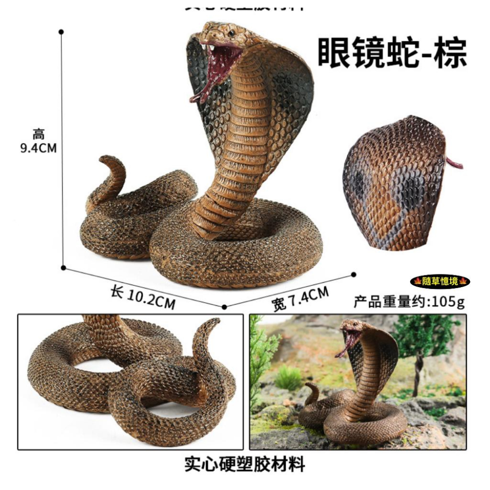 （2款高品質畫工）仿真 眼鏡蛇 蛇王 爬行 蛇 冷血動物 軟骨 動物模型 野生動物 兒童玩具 益智 公仔 SPG-細節圖3