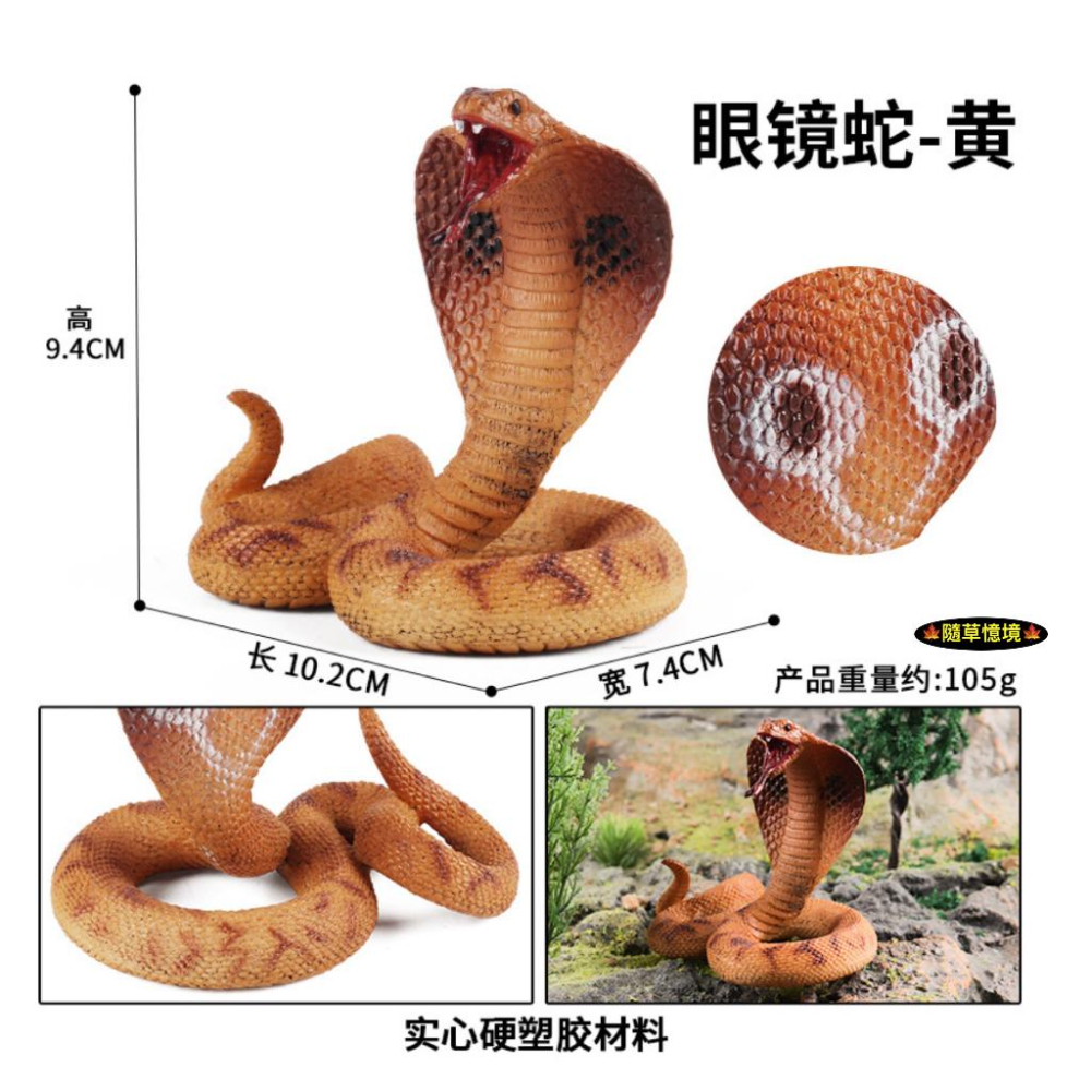 （2款高品質畫工）仿真 眼鏡蛇 蛇王 爬行 蛇 冷血動物 軟骨 動物模型 野生動物 兒童玩具 益智 公仔 SPG-細節圖4