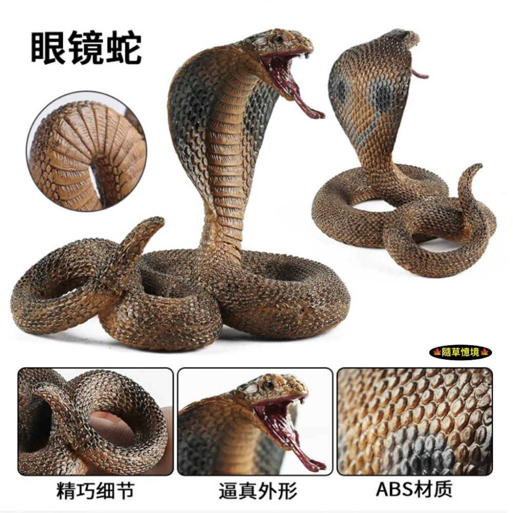 （2款高品質畫工）仿真 眼鏡蛇 蛇王 爬行 蛇 冷血動物 軟骨 動物模型 野生動物 兒童玩具 益智 公仔 SPG-細節圖5