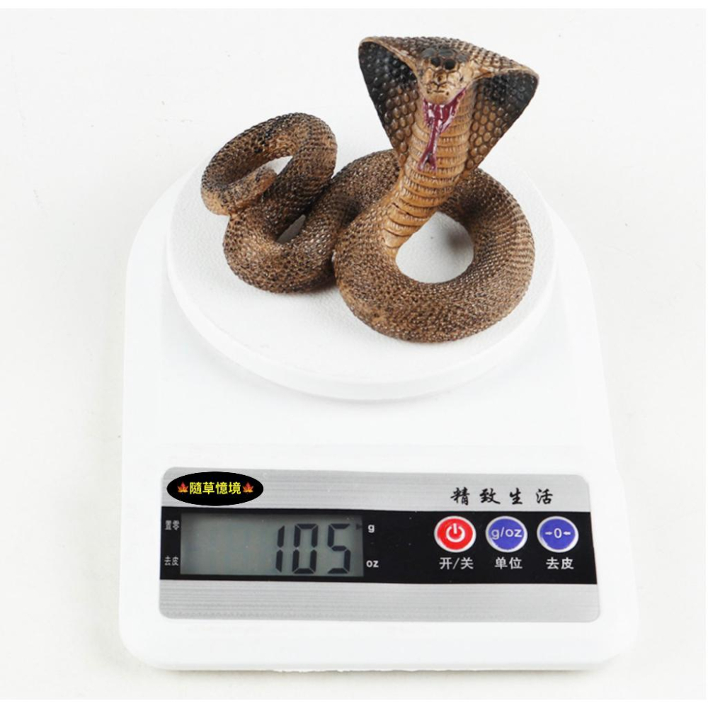（2款高品質畫工）仿真 眼鏡蛇 蛇王 爬行 蛇 冷血動物 軟骨 動物模型 野生動物 兒童玩具 益智 公仔 SPG-細節圖7