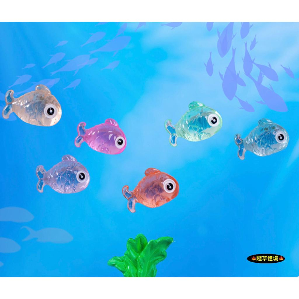 （五彩夜光）迷你 夜光魚 大頭魚 魚兒 小魚 魚 熱帶魚 微景觀 裝飾品 苔蘚 魚缸 造景 樹脂 擺件-細節圖3