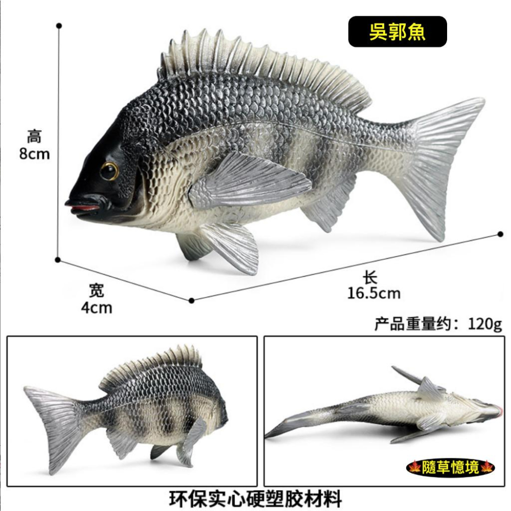 （高品質畫工）仿真 吳郭魚 鯛魚 淡水魚 羅非魚 非洲鯽魚 魚 煎魚 動物模型 野生動物 兒童玩具 公仔 SPG-細節圖2