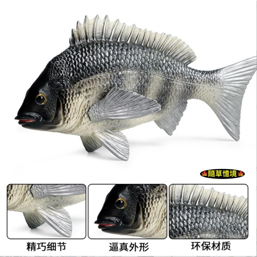 （高品質畫工）仿真 吳郭魚 鯛魚 淡水魚 羅非魚 非洲鯽魚 魚 煎魚 動物模型 野生動物 兒童玩具 公仔 SPG-細節圖3