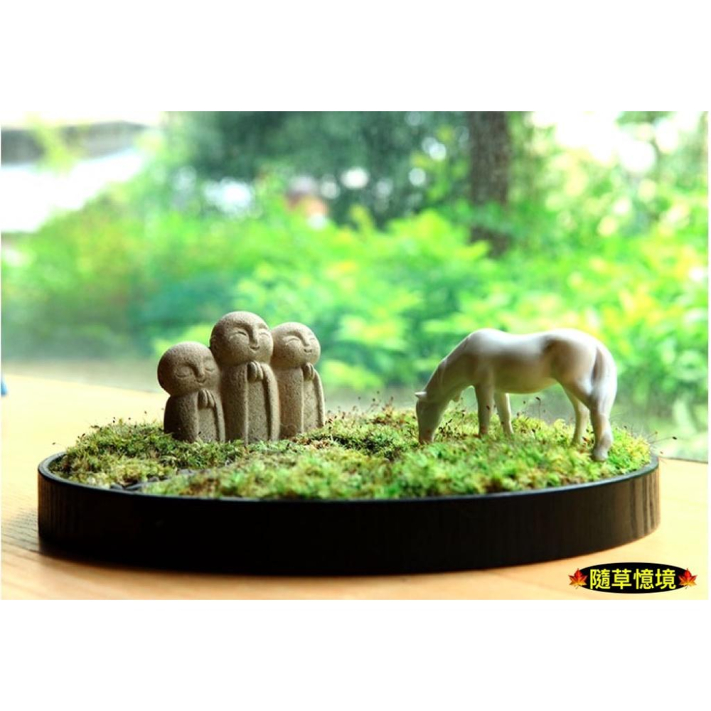 （2色水泥手雕）迷你 日式 小地藏 地藏 小沙彌 良緣地藏 石像 和尚 禪風 佛系 苔蘚 微景觀 盆景 生態 魚缸 擺件-細節圖2