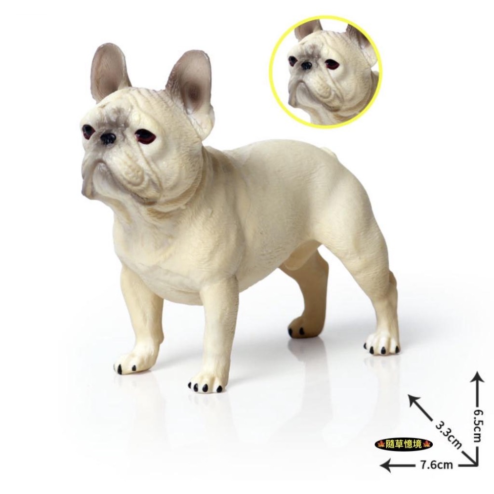 （高品質畫工）仿真 法國鬥牛犬 法鬥 狗狗 小狗 寵物狗 動物模型 野生動物 兒童玩具 益智 公仔 SPG-細節圖4